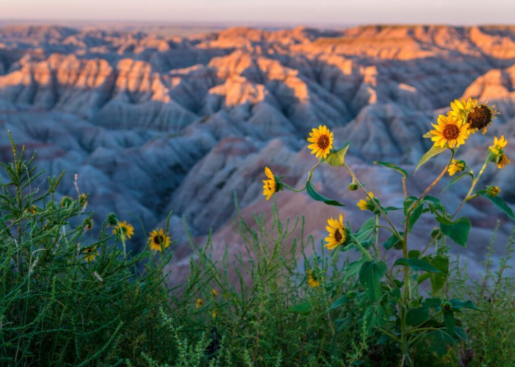 South Dakota: Crooks